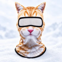 Orange cat